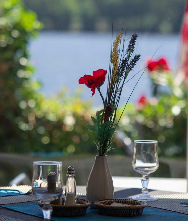 Logis Hotel Du Lac Neuvic  Bagian luar foto